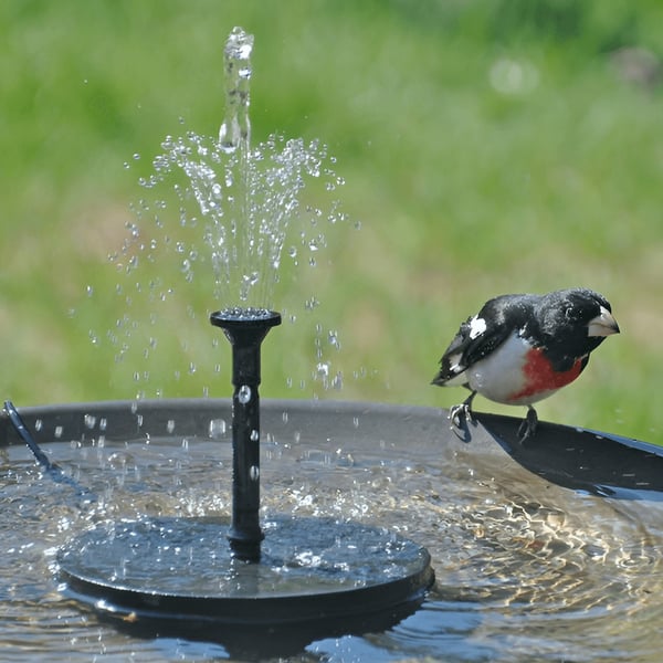 🔥Last Day 50% OFF🔥Solar-powered bird fountains